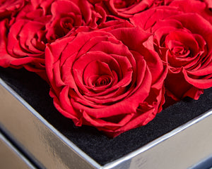 16 RED Infinity Preserved Roses