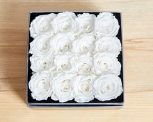 16 White/Cream Infinity Preserved Roses